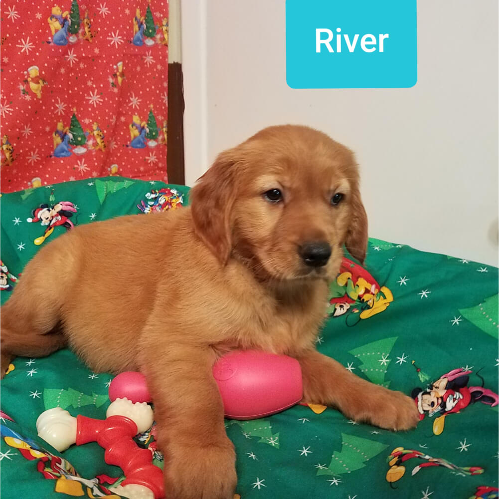 River